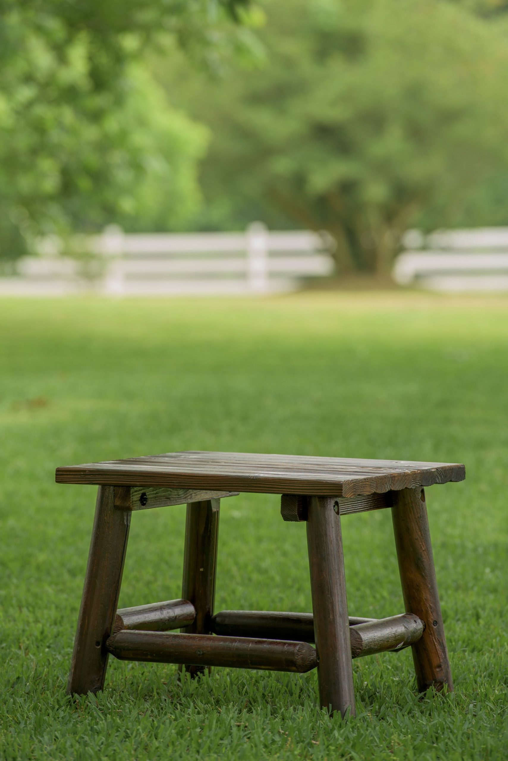 char-log-end-table-205.jpg