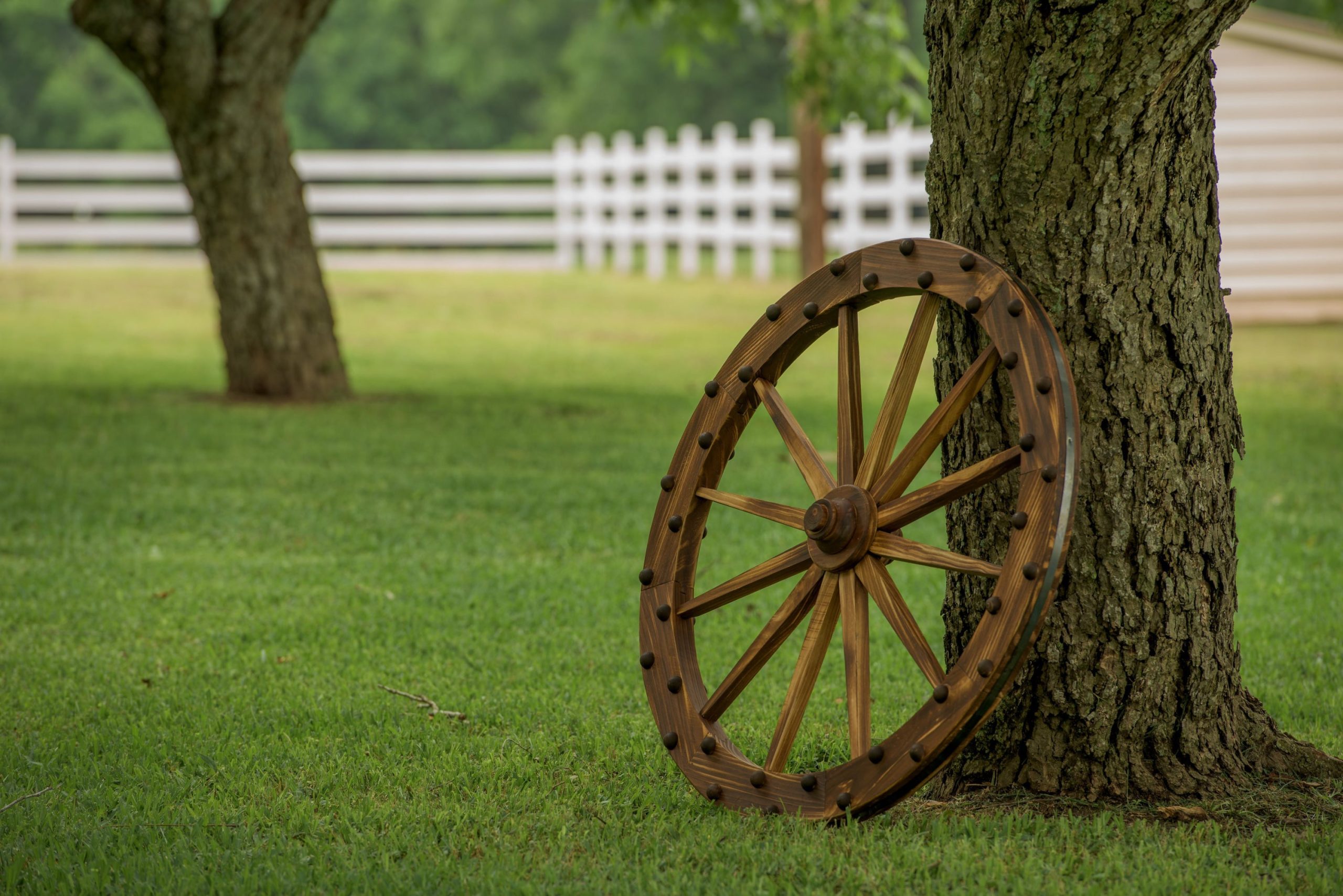 deluxe-wagon-wheel-762.jpg