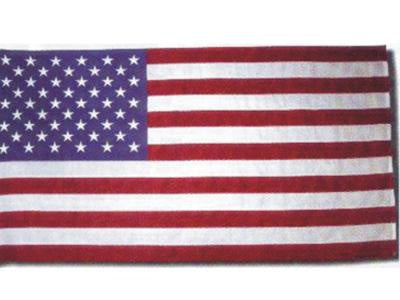 nylon-american-flag-119.jpg