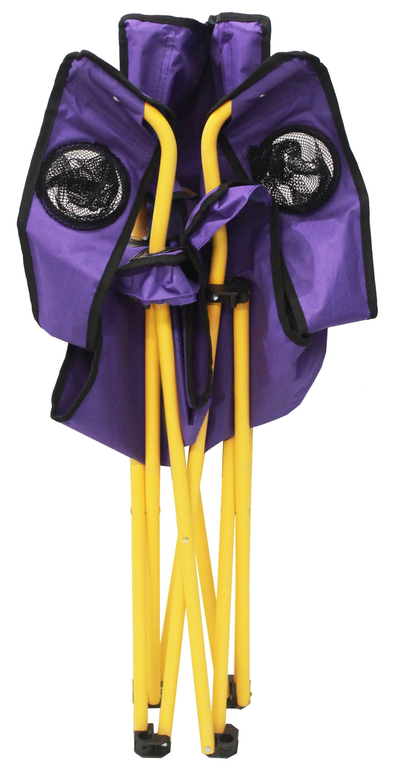 purple-fleur-de-lis-lawn-chair-784.jpg